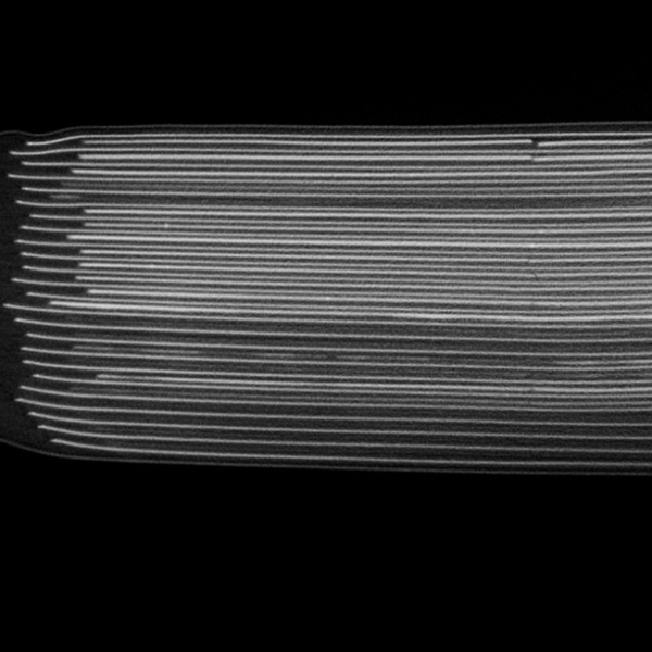 Pouch Cell
