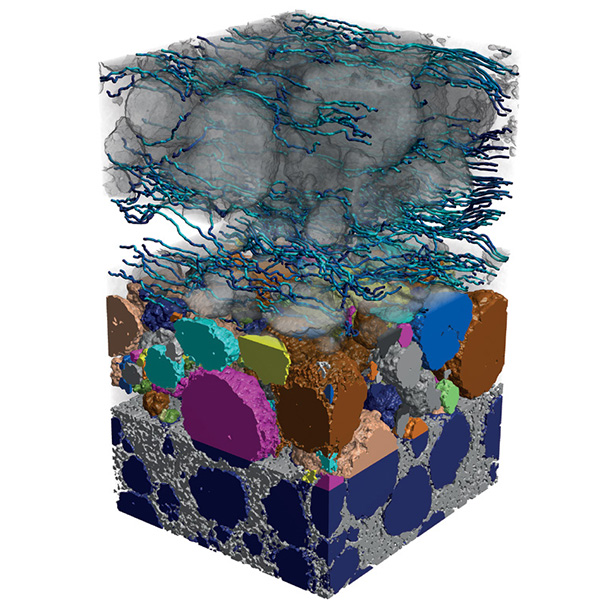 Electrode Structure