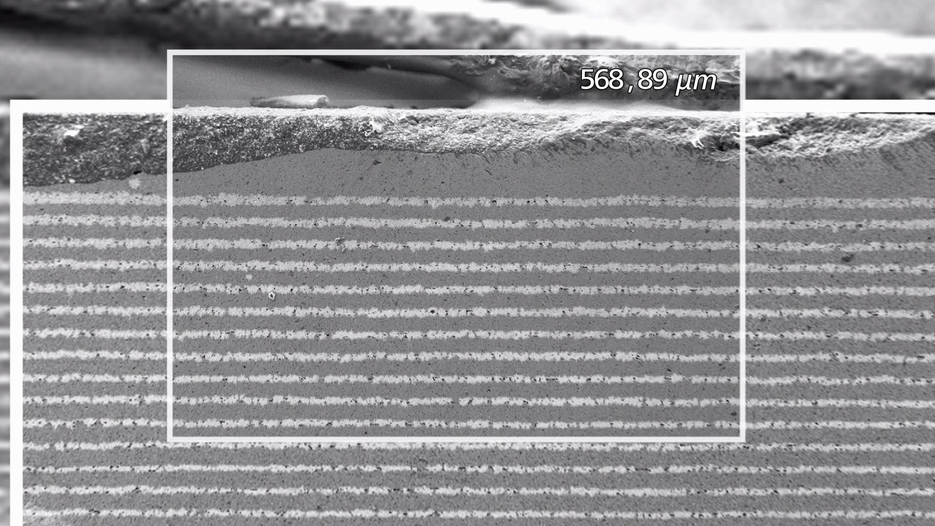 Composition Analysis of Li-Ion Battery Layers with ZEISS EVO 25 