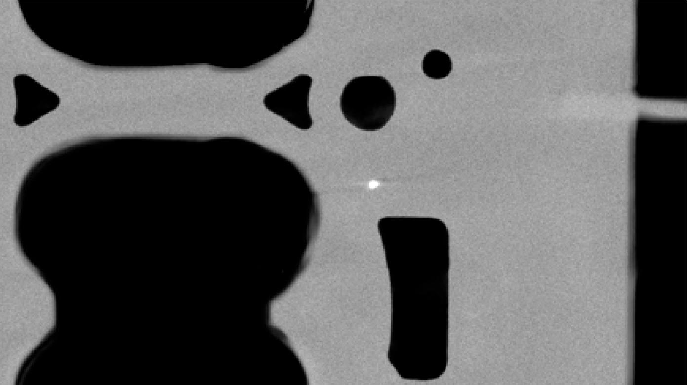 ZEISS light metal inclusions