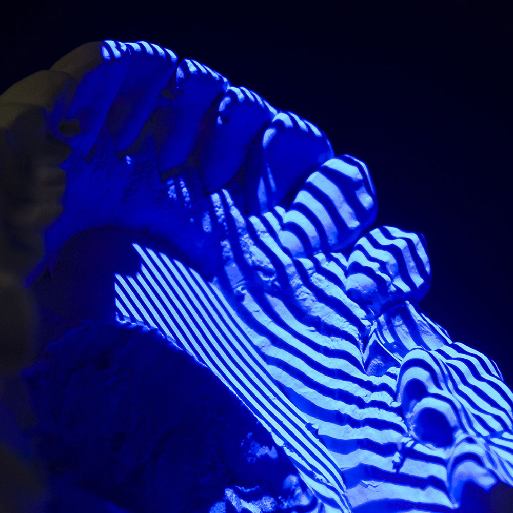 Dental Plaster Models