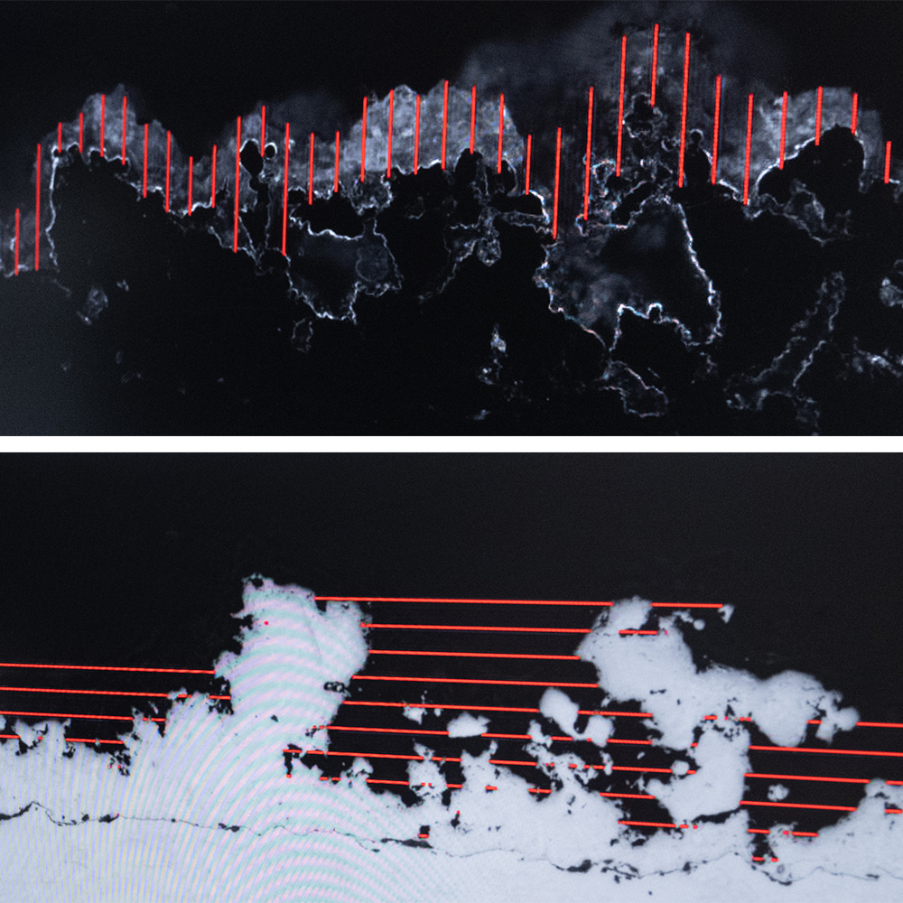 AI-assisted image segmentation