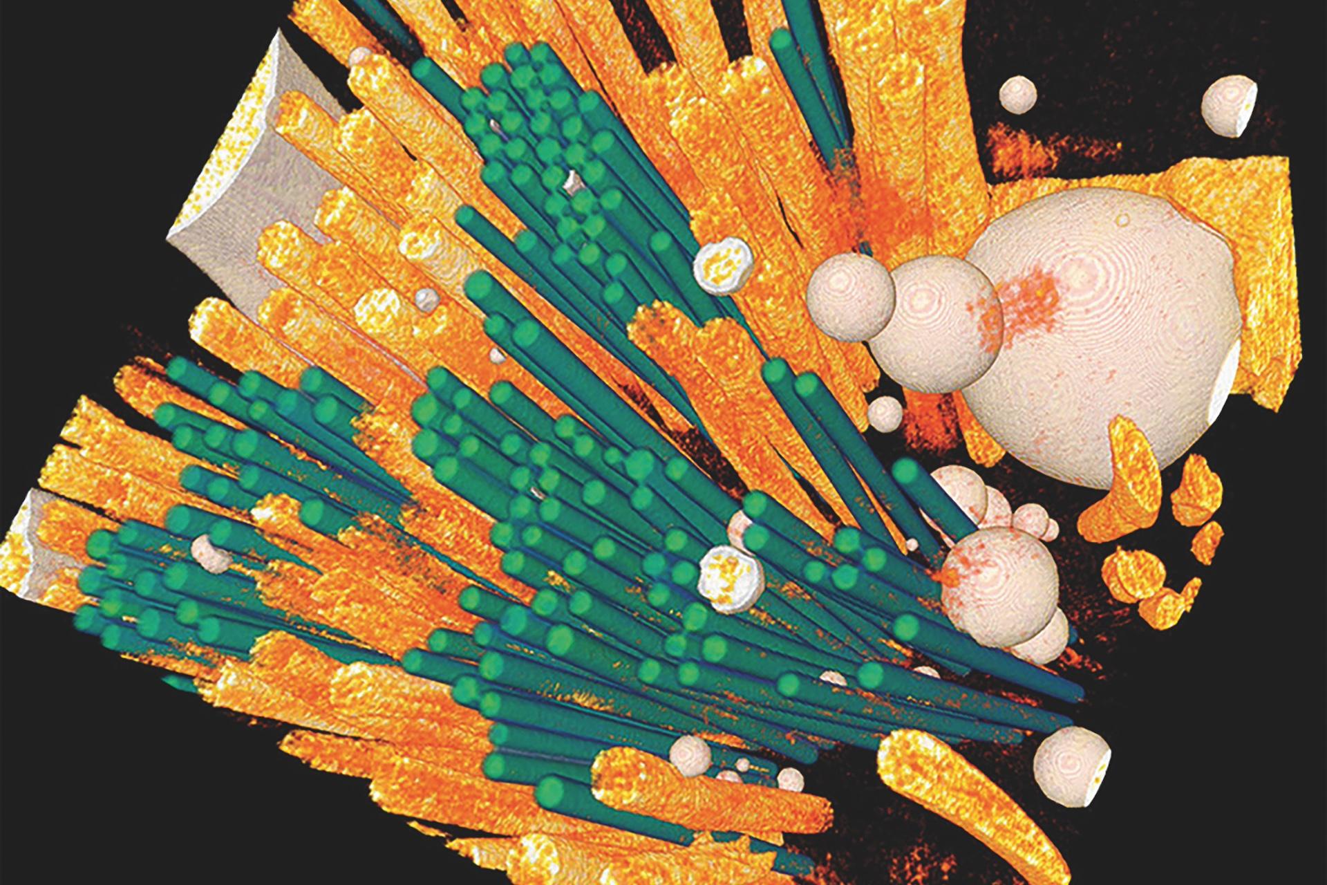 Fiber composite material analysis