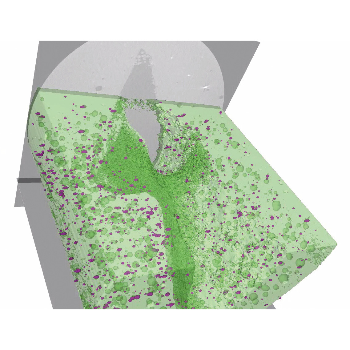 Microstructure analysis
