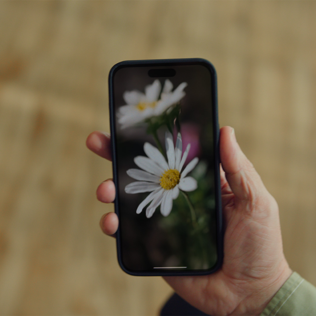 Point of view of someone holding a smartphone with a floristic background.
