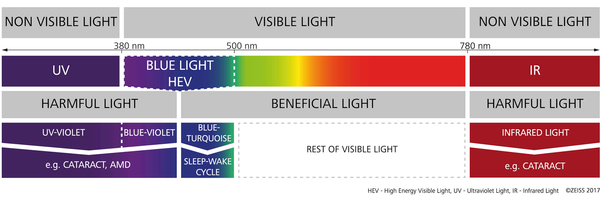 Your cones do the job – that&apos;s how colour vision works. 